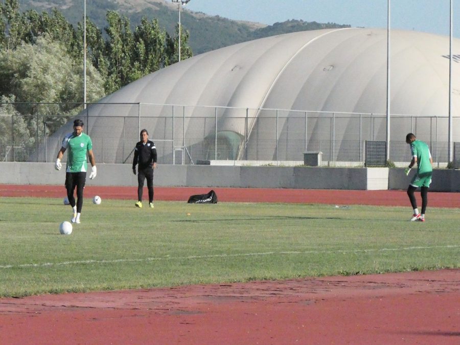 Έπιασε δουλειά ο Σούιτσα (video)